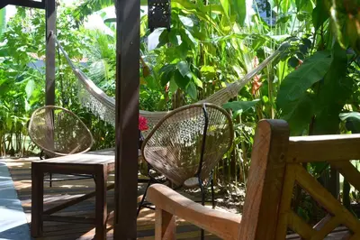 Um jardim no exterior de Chill Mango