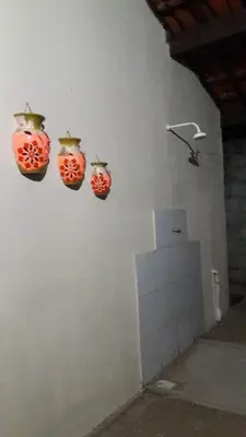 A planta de RECANTO DO BETERRABA