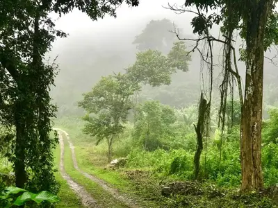 Paisagem natural perto do chalé