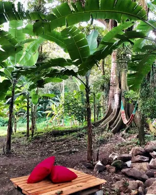 Um jardim no exterior de Quartos Dossel - Sítio Belo Monte