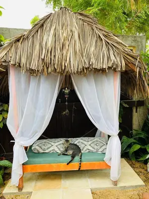 Um jardim no exterior de Pousada Dharma