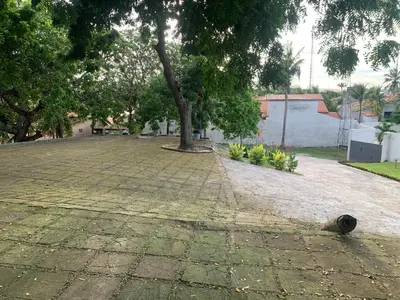 Um jardim no exterior de CAMA & CAFÉ BED & BREAKFAST HOSPEDARIA MORRO BRANCO 3 MIN A PÉ DAS FALÉSIAs 2 QUADRAS DA PRAIA 1 QUADRA DO MIRANTE & FEIRINHA