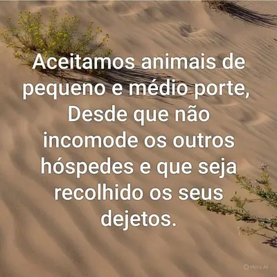 Animais na casa de férias ou nos arredores