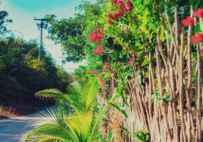 Um jardim no exterior de Pousada Quinta da Lagoa Azul