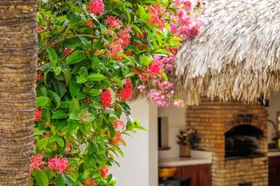 Um jardim no exterior de Controvento Boutique Hotel - Yoga Kitesurf