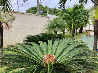 A planta de APT1 Piscina Netflix WiFi Ar Cond próx a 2 shoppings