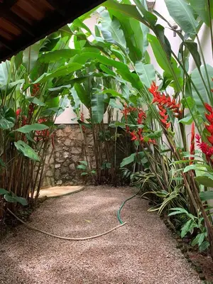 Um jardim no exterior de Ótima Casa em Guaramiranga