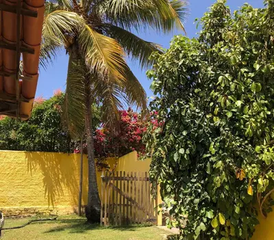 Um jardim no exterior de Casa Yuka Guajiru