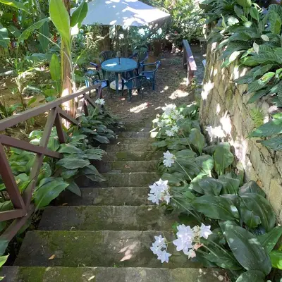 Um jardim no exterior de CHALÉ CHÃO das ESTRELAS