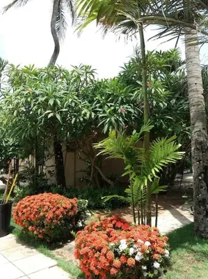 Um jardim no exterior de Eco Paradise Cumbuco 131