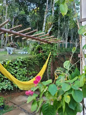 Um jardim no exterior de Vila Mulungu Casa