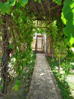 Um jardim no exterior de Arco Mundial Taíba