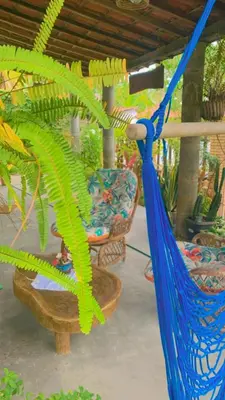 Um jardim no exterior de Casa em Mundaú Trairi-Ce