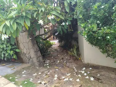 Um jardim no exterior de Cumbuco - Casa de praia com piscina e deck