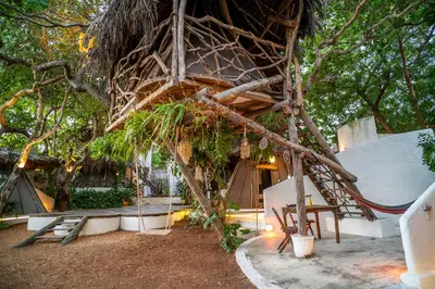 Um jardim no exterior de Treehouse Kitecamp Jericoacoara