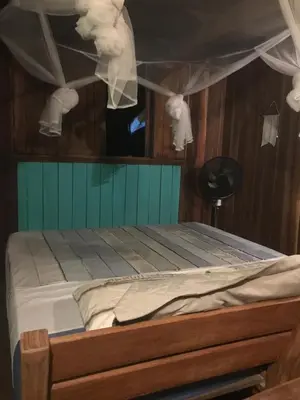A planta de Casa tartaruga