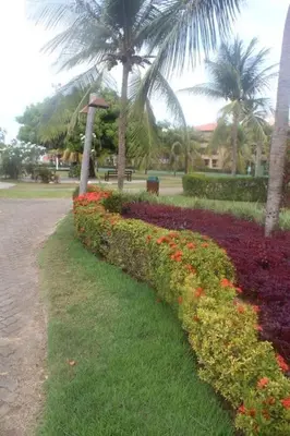 Um jardim no exterior de Apartamento Aquaville Resort Vista Mar próximo Beach Park Ceará