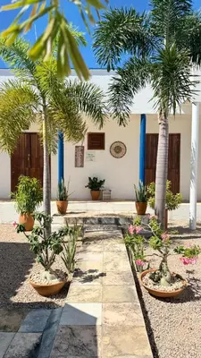 Um jardim no exterior de Lounge PDD