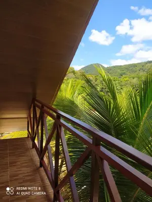 Paisagem natural perto do alojamento de turismo selvagem