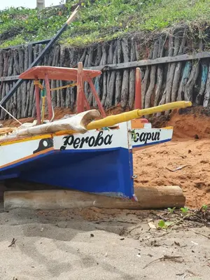 Paisagem natural perto da casa de férias
