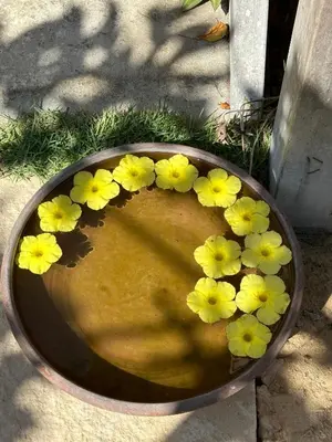 A planta de Pousada Casa Caju Bangalows