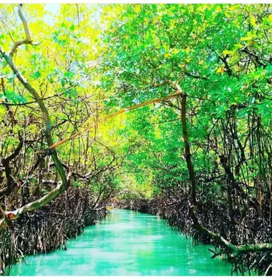 Paisagem natural perto da casa de hóspedes