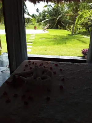 Um jardim no exterior de Chalés Ed Moitas