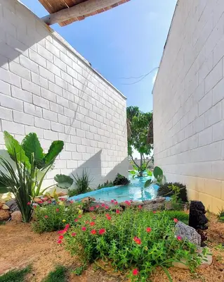 A piscina em ou perto de Anacardium