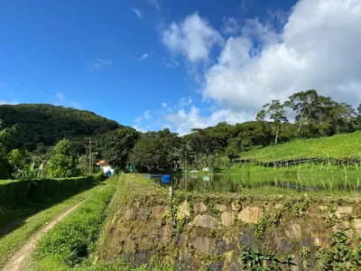 Paisagem natural perto da casa de férias