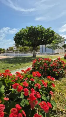 Um jardim no exterior de Apartamento Aluguel Morro Branco.