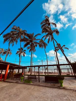 A planta de LagoinhaKitePoint