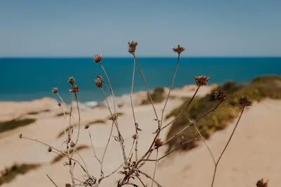 Paisagem natural perto das estalagens