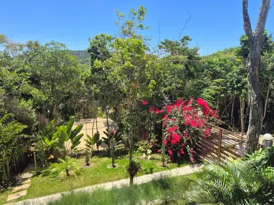 Um jardim no exterior de Casa da Árvore - Refúgio de Luxo com Jacuzzi e Vista para a Serra