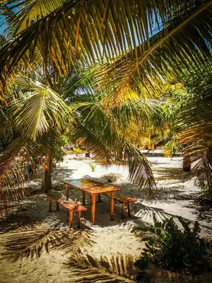 Um jardim no exterior de Sítio Boralá