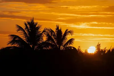 O nascer ou o pôr do sol visto a partir da casa de hóspedes