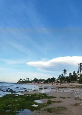 Paisagem natural perto da casa de hóspedes