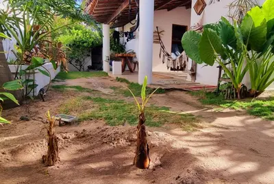 Um jardim no exterior de Casinha do Cauipe