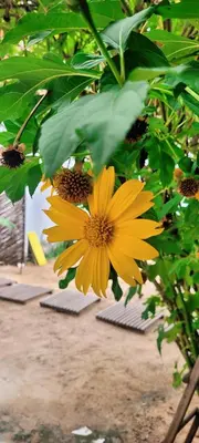 Um jardim no exterior de Condomínio Aurora - Suítes
