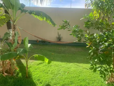 Um jardim no exterior de Happy Hostel e Pousada Paracuru