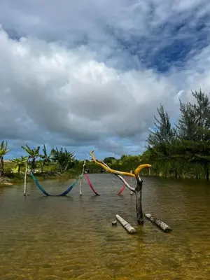Paisagem natural perto da casa de férias