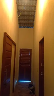 A planta de Belaninha