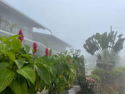 Um jardim no exterior de Chacara da Sorte